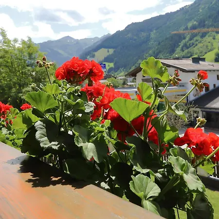 Apartman Wirnsperger