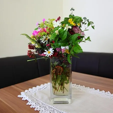 Apartman Wirnsperger