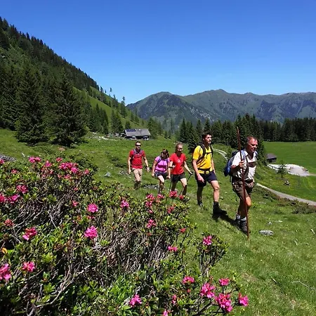 Апартаменты Wirnsperger